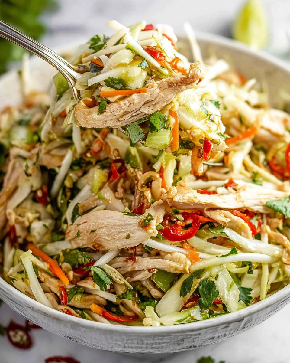 La salade à la thaïlandaise au poulet 129 La salade à la thaïlandaise au poulet